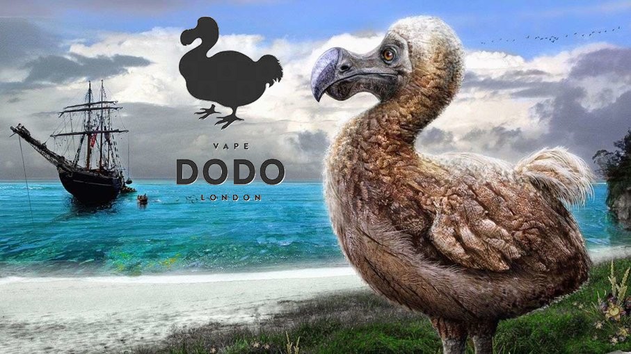 Vape Dodo Blog Le Petit Vapoteur (3)